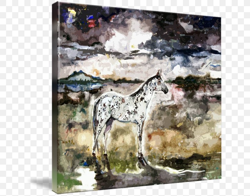 Mustang Appaloosa Spirit Stallion Foal, PNG, 650x643px, Mustang, Appaloosa, Appaloosa Spirit, Art, Colt Download Free