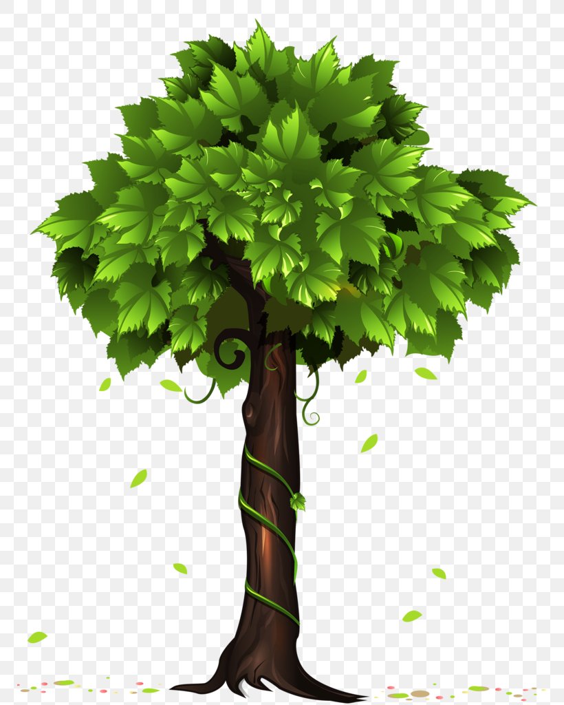 Tree Clip Art, PNG, 769x1024px, Tree, Branch, Flowerpot, Forest, Grass Download Free
