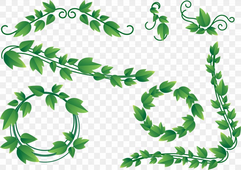 Vine Ivy Clip Art, PNG, 5040x3558px, Vine, Branch, Drawing, Flora, Flowering Plant Download Free