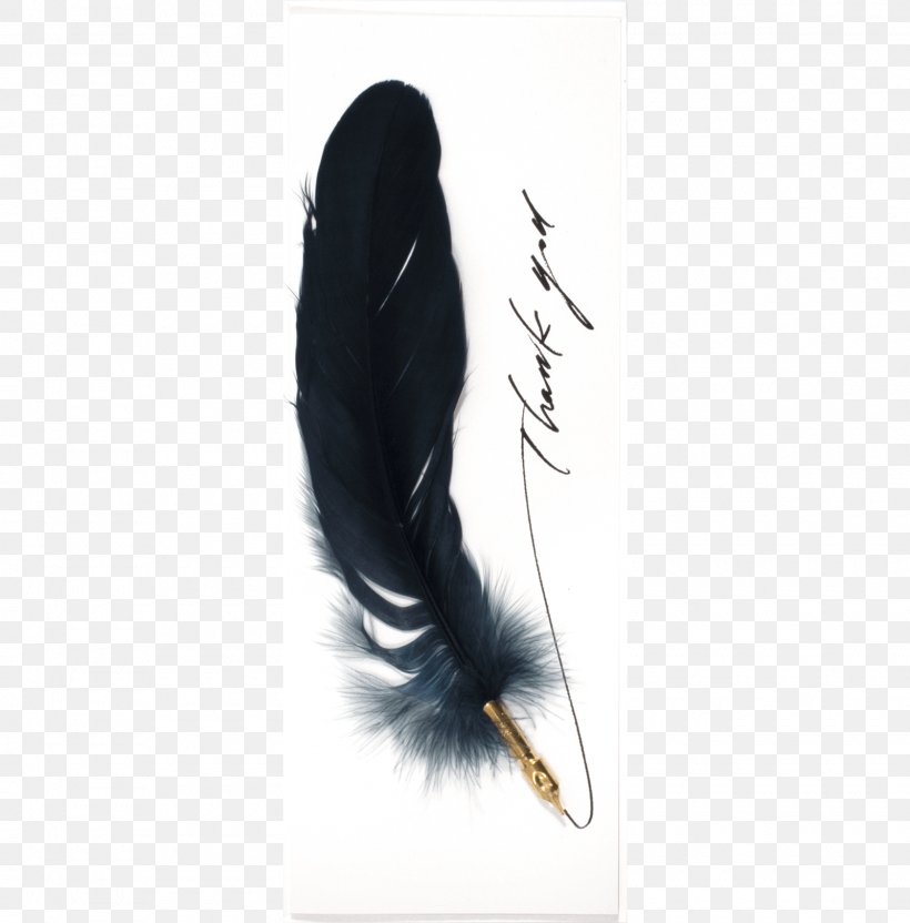 Feather, PNG, 1600x1624px, Feather, Quill, Wing Download Free