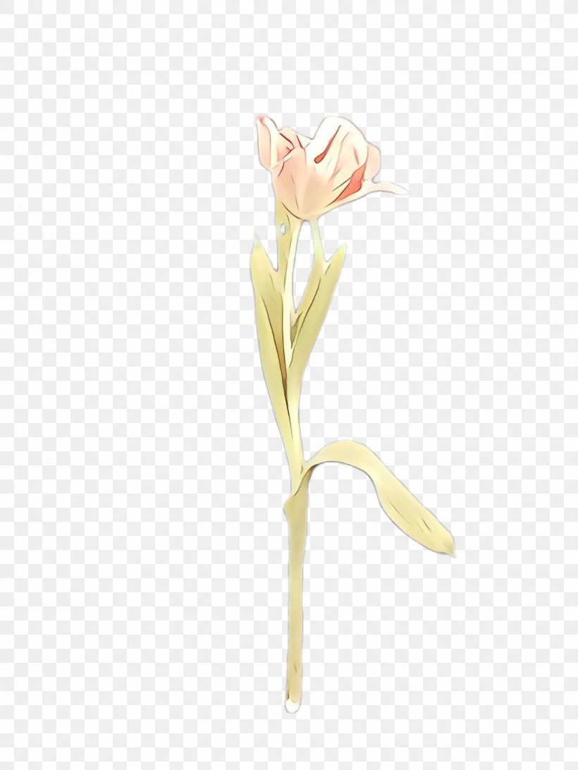 Flower Plant Arum Cut Flowers Pedicel, PNG, 1732x2307px, Cartoon, Arum, Bud, Cut Flowers, Flower Download Free