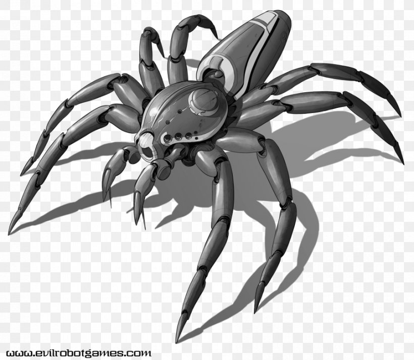 Spider Robotics Drawing Robot Kit, PNG, 900x784px, Spider, Arachnid, Arthropod, Black And White, Decapoda Download Free