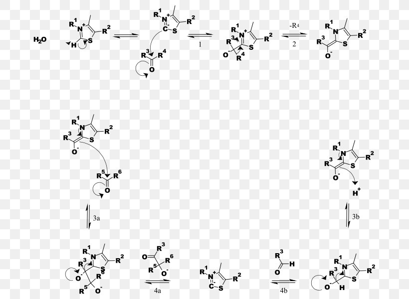 Thiamine Pyrophosphate Transketolase Reaction Mechanism Chemical Reaction, PNG, 706x600px, Thiamine Pyrophosphate, Aldehyde, Area, Arrow Pushing, Black Download Free