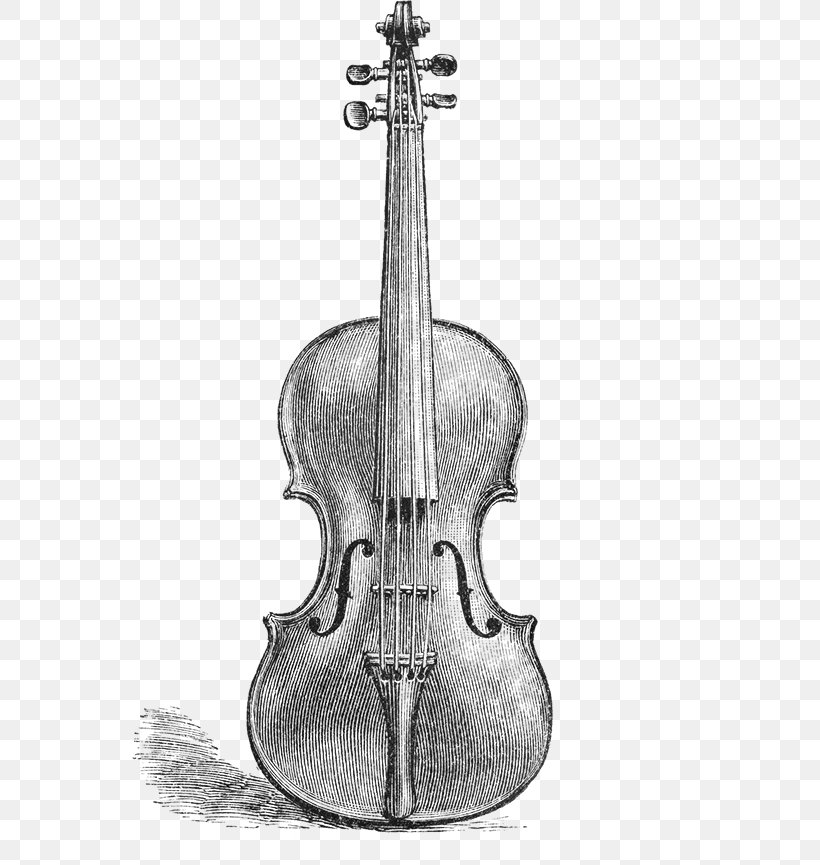 How To Draw A Violin Step By Step  Violin Drawing Easy  YouTube
