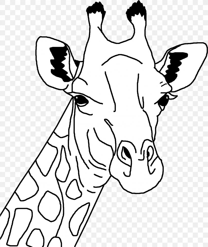 Drawing Coloring Book Sketch, PNG, 1855x2212px, Drawing, Animal, Art, Black, Black And White Download Free