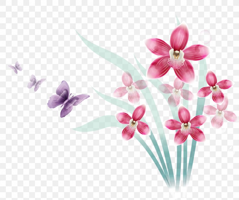 Orchids Flower Information, PNG, 1600x1341px, Orchids, Blossom, Branch, Color, Cymbidium Ensifolium Download Free
