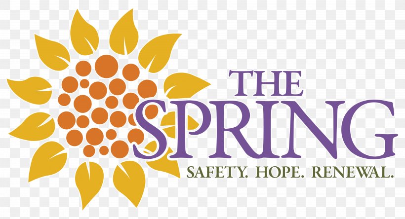 The Spring Of Tampa Bay Organization Tampa Bay Rays Domestic Violence, PNG, 3600x1950px, Tampa Bay, Brand, Charitable Organization, Commodity, Domestic Violence Download Free