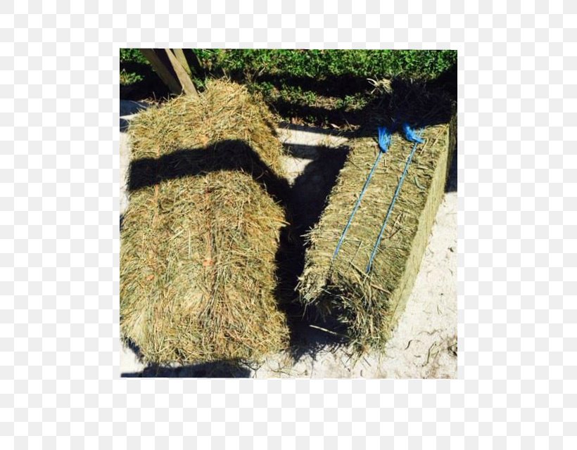 Hay Straw Baler Hampton Roads Grasses, PNG, 480x640px, Hay, Baler, Grass, Grass Family, Grasses Download Free