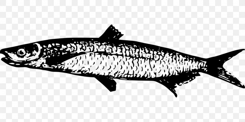 Sardine Lake Tanganyika Fish, PNG, 1280x640px, Sardine, Black And White, Bony Fish, Fauna, Fin Download Free