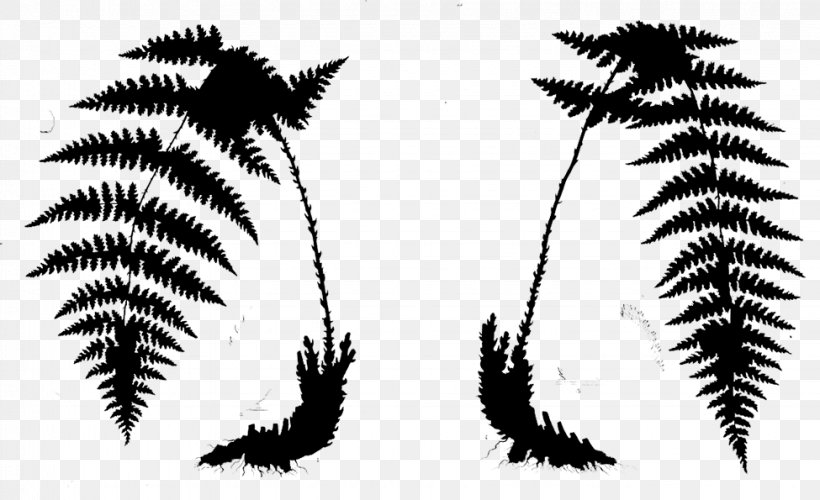 Tree Silhouette Font Leaf, PNG, 975x595px, Tree, Blackandwhite, Eye, Eyelash, Fern Download Free