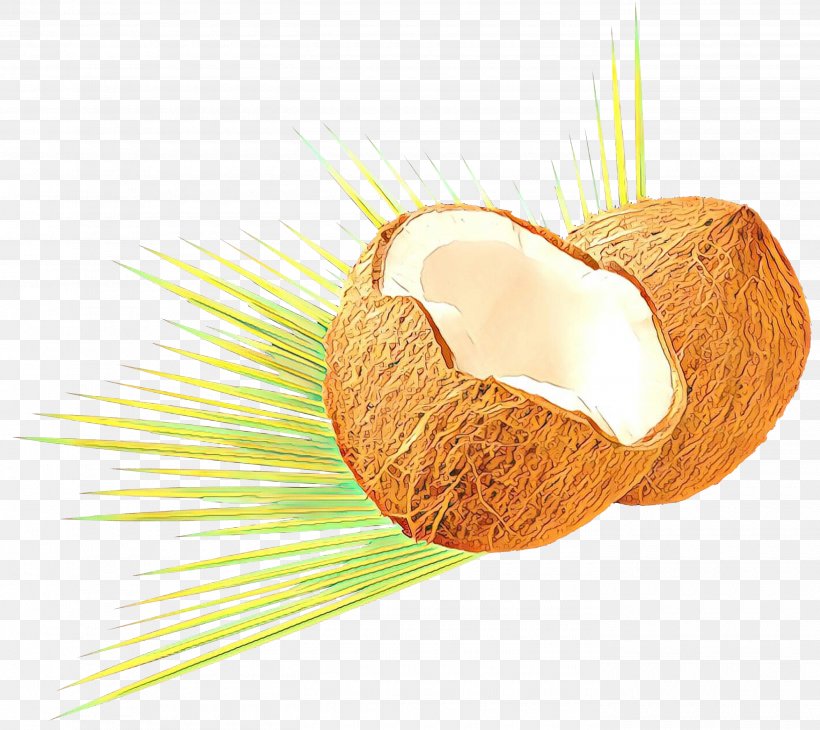 Water Cartoon, PNG, 2800x2496px, Food, Coconut, Coconut Water, Commodity, Juice Download Free