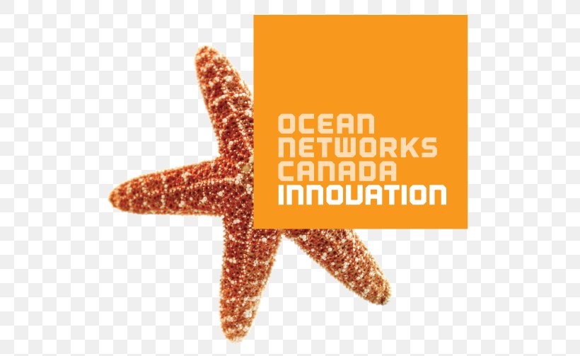 World Ocean Ocean Networks Canada Technology, PNG, 547x503px, World Ocean, Brand, Canada, Echinoderm, Innovation Download Free