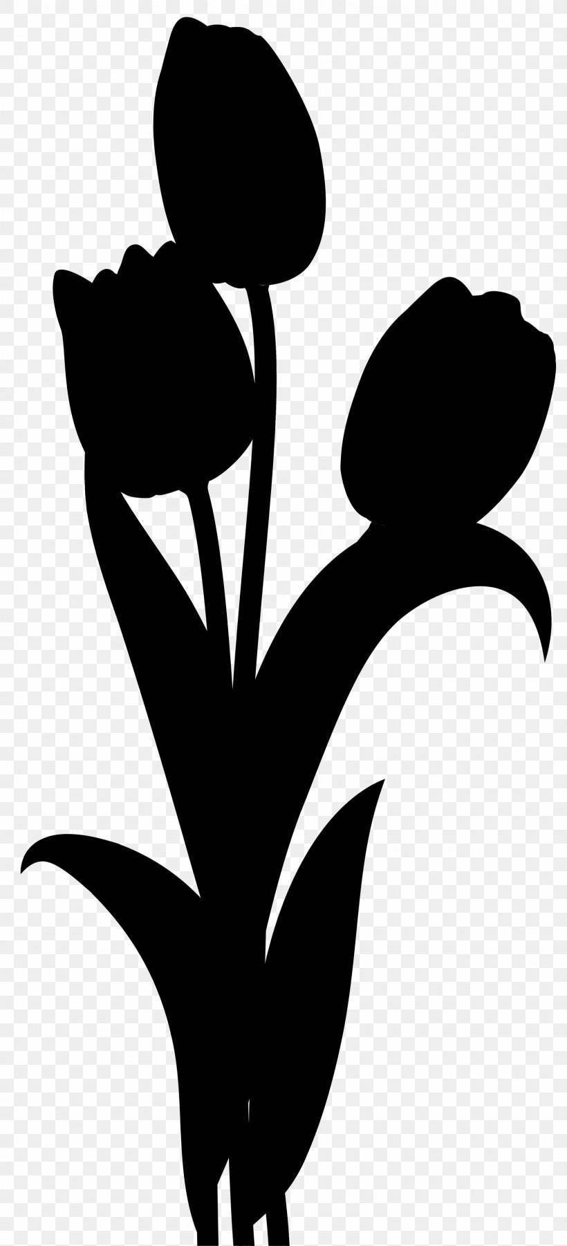 Clip Art Flower Plant Stem Leaf Silhouette, PNG, 1600x3517px, Flower, Black M, Blackandwhite, Botany, Flowering Plant Download Free
