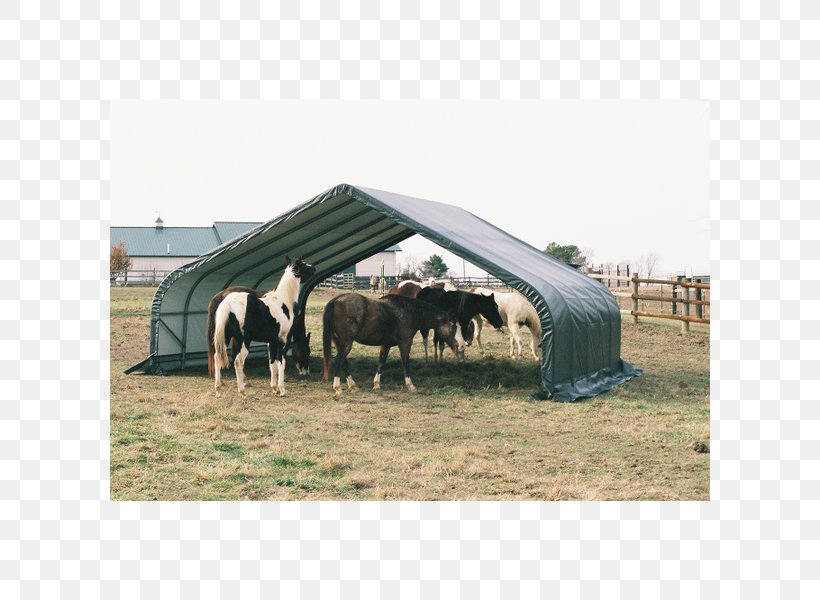Horse Shed Shelter Garage Canopy, PNG, 600x600px, Horse, Building, Canopy, Carport, Cattle Like Mammal Download Free