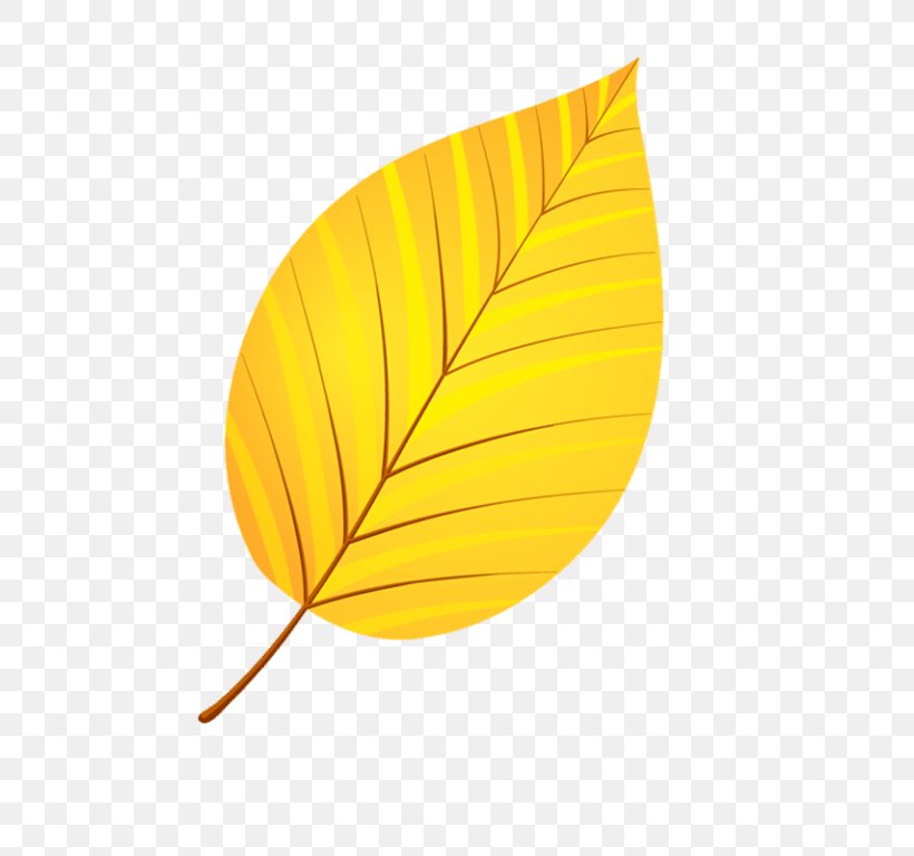 Leaflet Yellow Clip Art, PNG, 768x768px, Leaf, Alder, Leaflet, Liveinternet, Maple Download Free