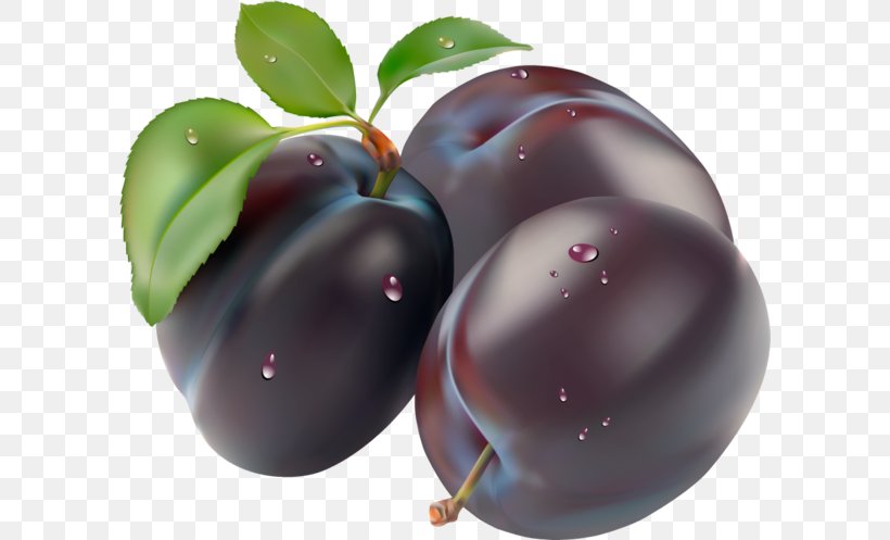 Plum Clip Art, PNG, 600x497px, Plum, Apple, Food, Fruit, Plant Download Free