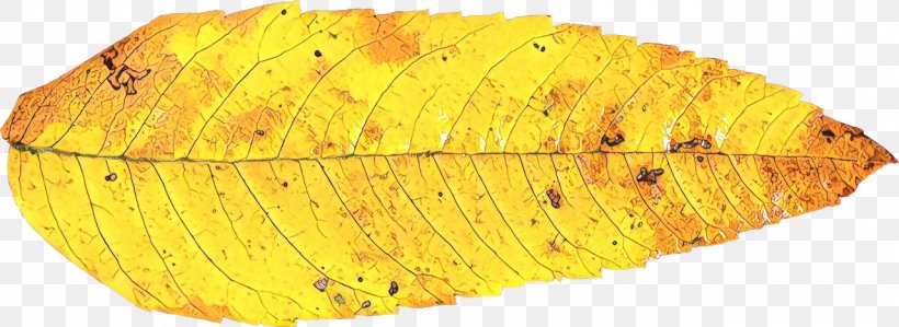 Autumn Plant, PNG, 1280x467px, 2018, Leaf, Autumn, Brown, Chemical Element Download Free
