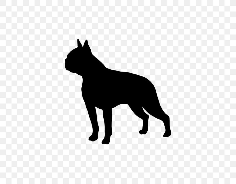 Boston Terrier Border Collie Golden Retriever Chinese Crested Dog Bedlington Terrier, PNG, 640x640px, Boston Terrier, Animal, Bedlington Terrier, Bichon Frise, Black Download Free