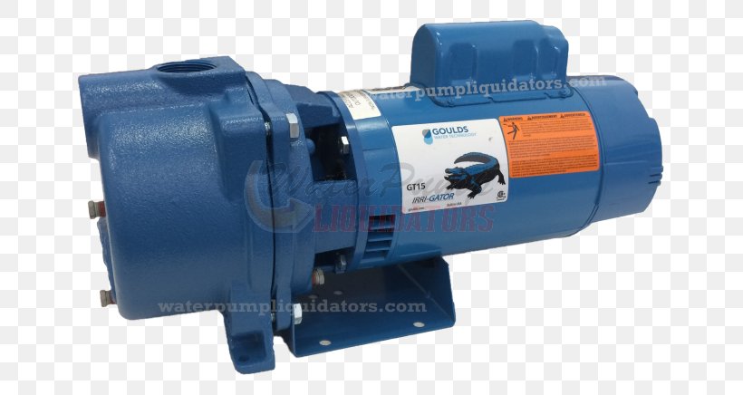 Centrifugal Pump Goulds Pumps Irrigation Electric Motor, PNG, 650x436px, Pump, Axialflow Pump, Centrifugal Force, Centrifugal Pump, Cylinder Download Free