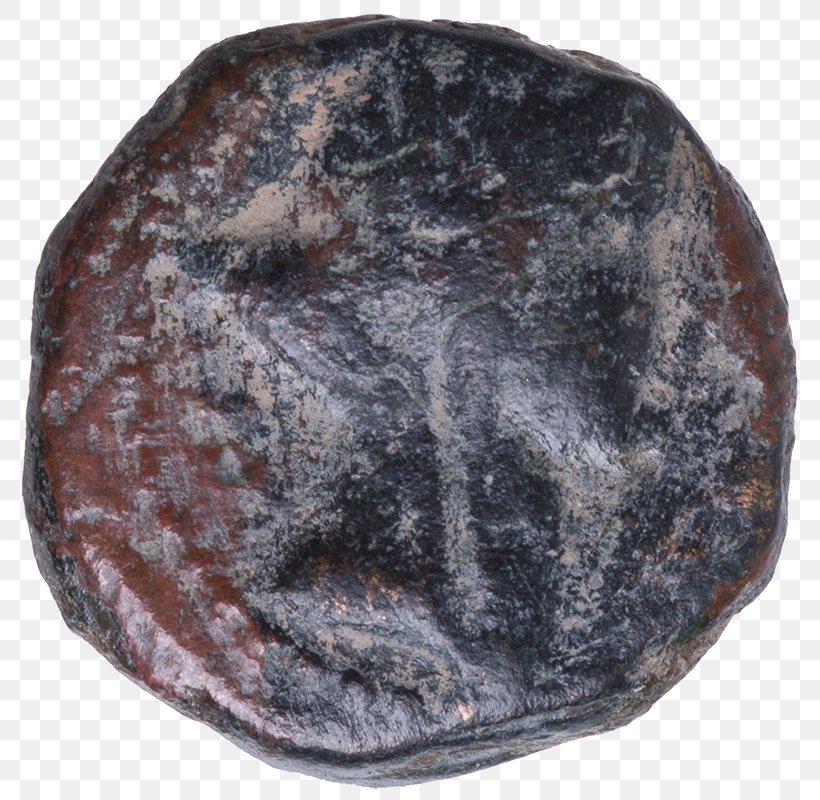 Coin Roman Emperor Berenice II Of Egypt Tiberius Antonia Minor, PNG, 800x800px, Coin, Antonia Minor, Berenice, Claudius, Herod Agrippa Download Free