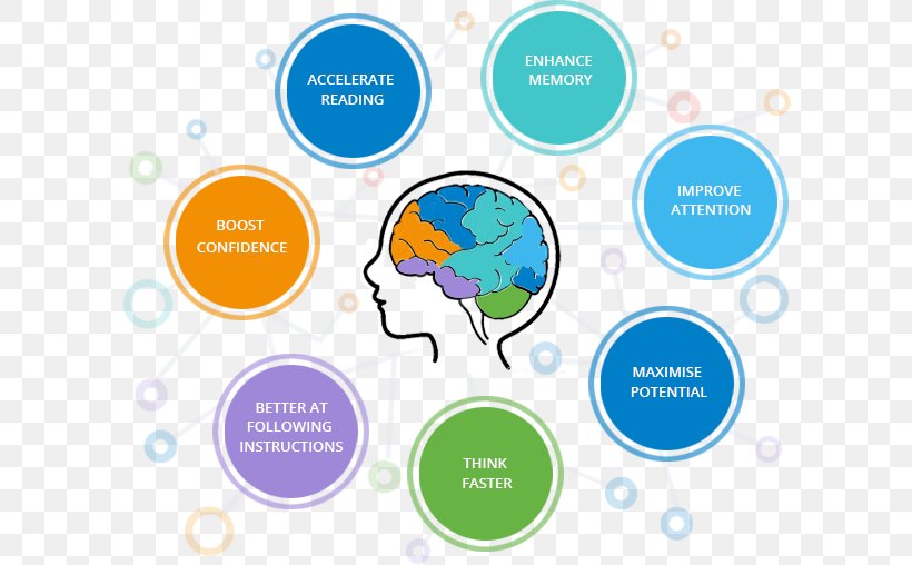 Learning Brain Cognitive Training Education, PNG, 602x508px, Learning, Adult Education, Area, Brain, Brain Damage Download Free