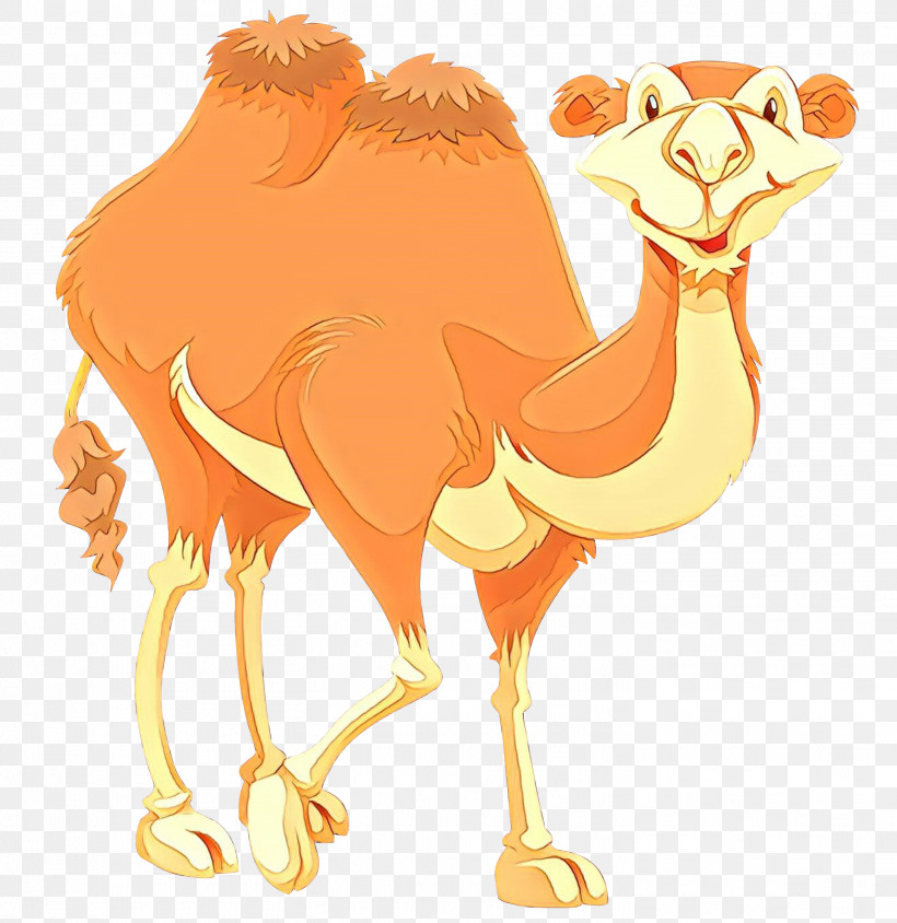 Camel Arabian Camel Camelid Ostrich Bactrian Camel, PNG, 2912x3000px, Camel, Arabian Camel, Bactrian Camel, Camelid, Fawn Download Free