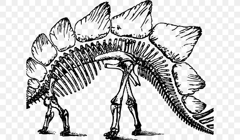 Dinosaur, PNG, 640x480px, Stegosaurus, Apatosaurus, Blackandwhite, Bone Wars, Brontosaurus Download Free