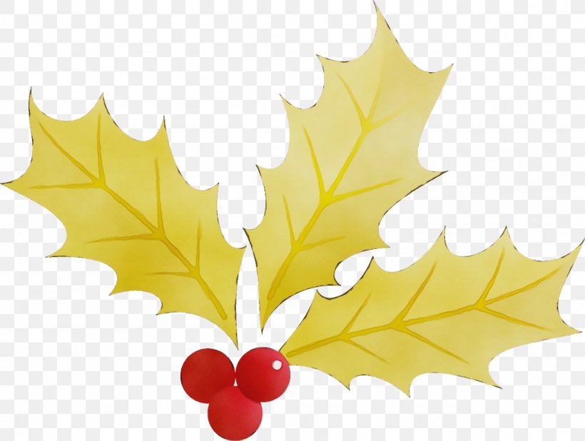 Maple Leaf, PNG, 1024x772px, Watercolor, Black Maple, Holly, Leaf, Maple Leaf Download Free