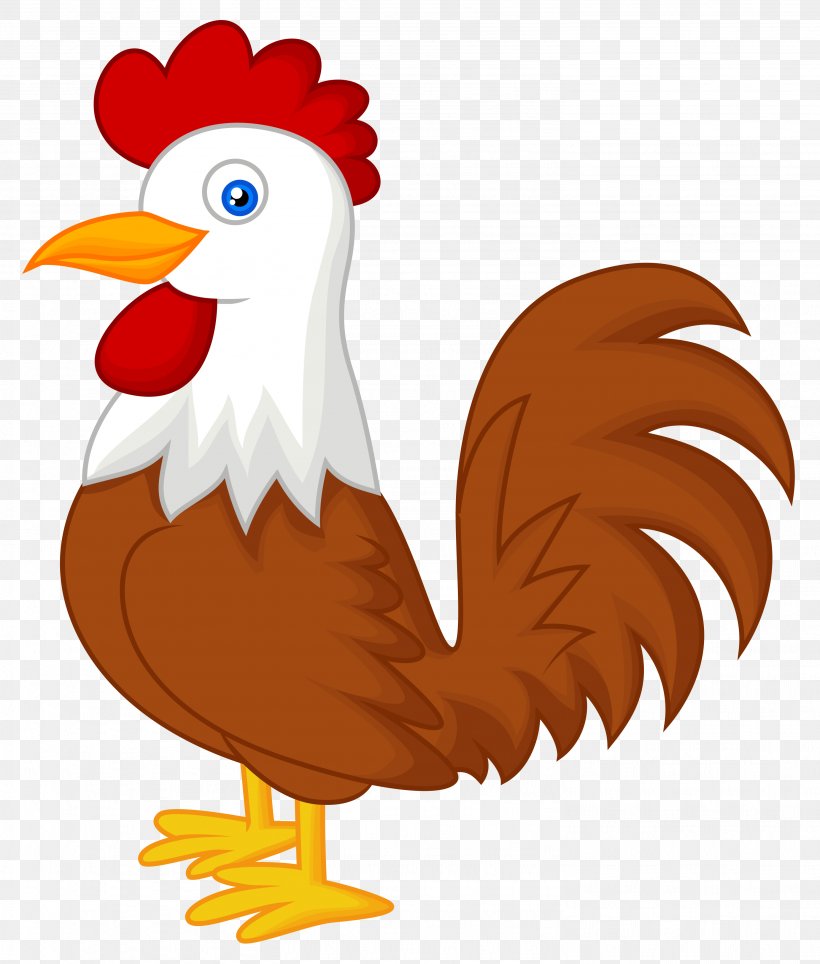 Chicken Animal Bird Pet, PNG, 2976x3502px, Chicken, Animal, Beak, Bird, Cartoon Download Free
