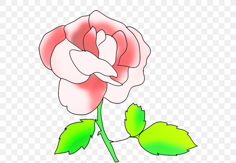 Clip Art Garden Roses Drawing Image Floral Design, PNG, 591x568px, Watercolor, Cartoon, Flower, Frame, Heart Download Free