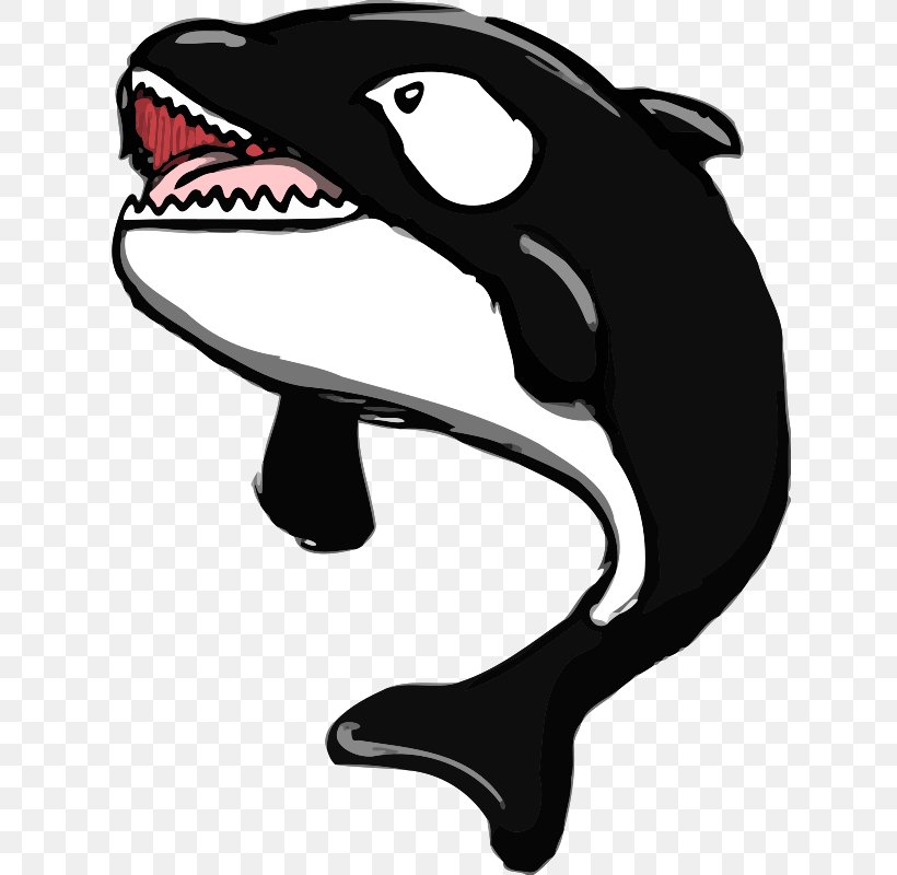 Killer Whale Whale Watching Clip Art, PNG, 626x800px, Whale, Automotive Design, Black, Black And White, Cartoon Download Free