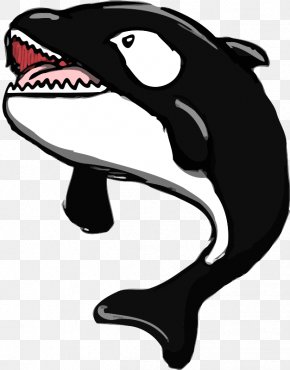 Whale - Killer Whale Whale Watching Clip Art PNG