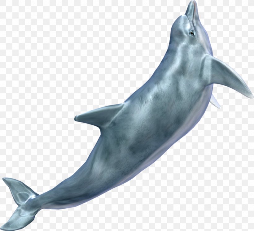 Dolphin Clip Art, PNG, 937x853px, Dolphin, Archive File, Common Bottlenose Dolphin, Display Resolution, Fauna Download Free