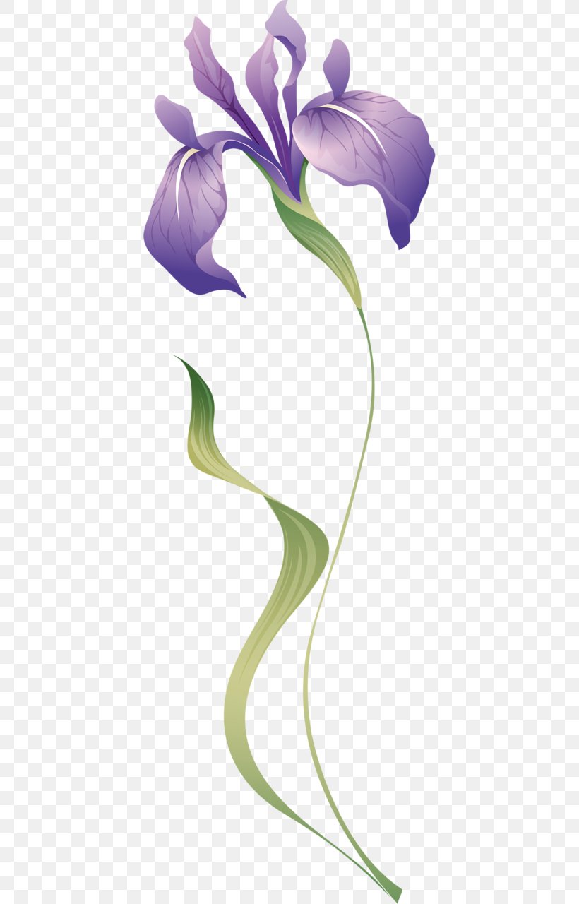 Flower Brush Irises Petal, PNG, 416x1280px, Flower, Arum, Branch, Brush, Close Up Download Free