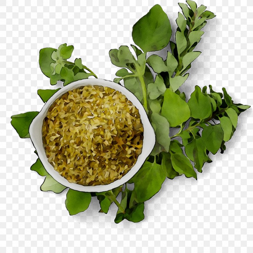 Greens Vegetarian Cuisine Food Herb Rice, PNG, 1008x1008px, Greens, Commodity, Coriander, Cuisine, Dish Download Free