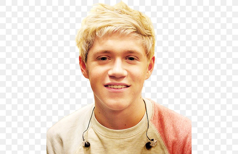 Niall Horan One Direction Mullingar, PNG, 500x532px, Watercolor, Cartoon, Flower, Frame, Heart Download Free