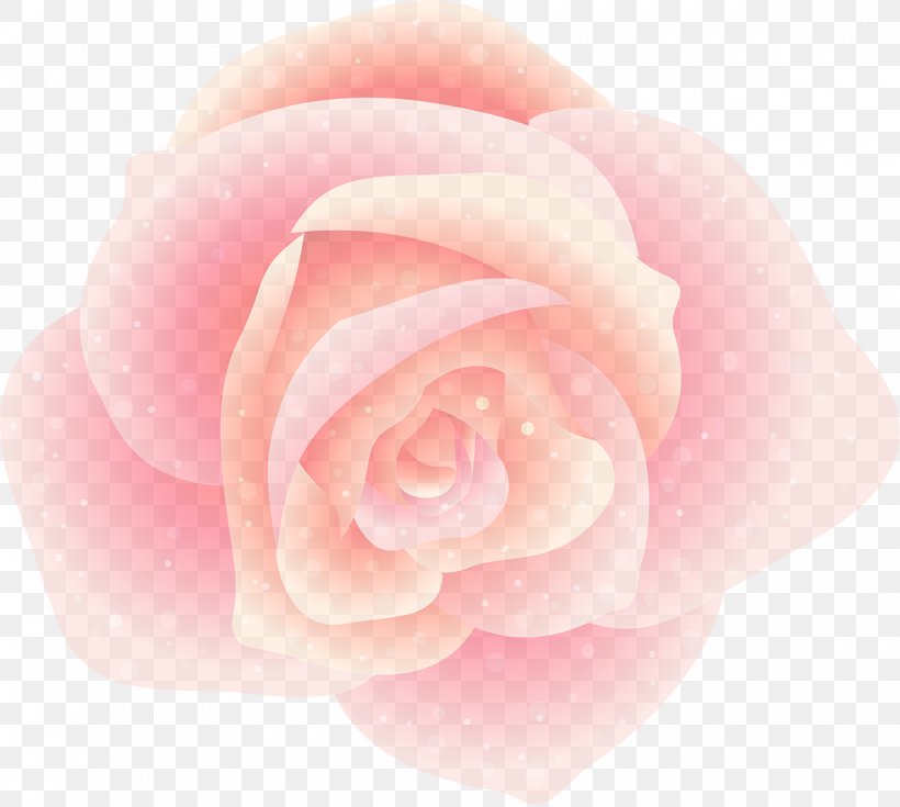 Garden Roses, PNG, 1200x1076px, Pink, Floribunda, Flower, Garden Roses, Hybrid Tea Rose Download Free