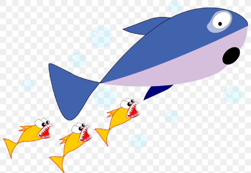 Shark Cartoon Fish Clip Art, PNG, 800x565px, Shark, Animal, Animation, Beak, Cartoon Download Free