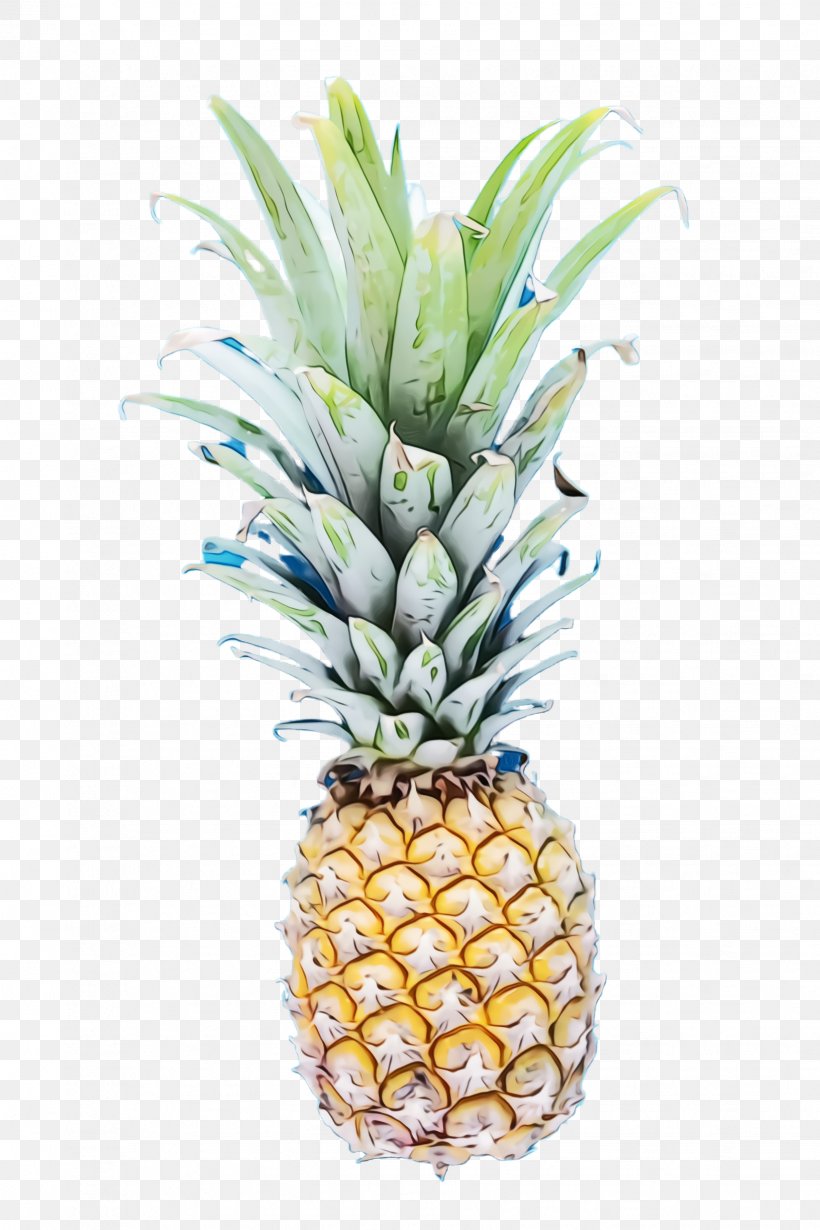 Watercolor Natural, PNG, 1632x2448px, Watercolor, Ananas, Flowerpot, Food, Fruit Download Free