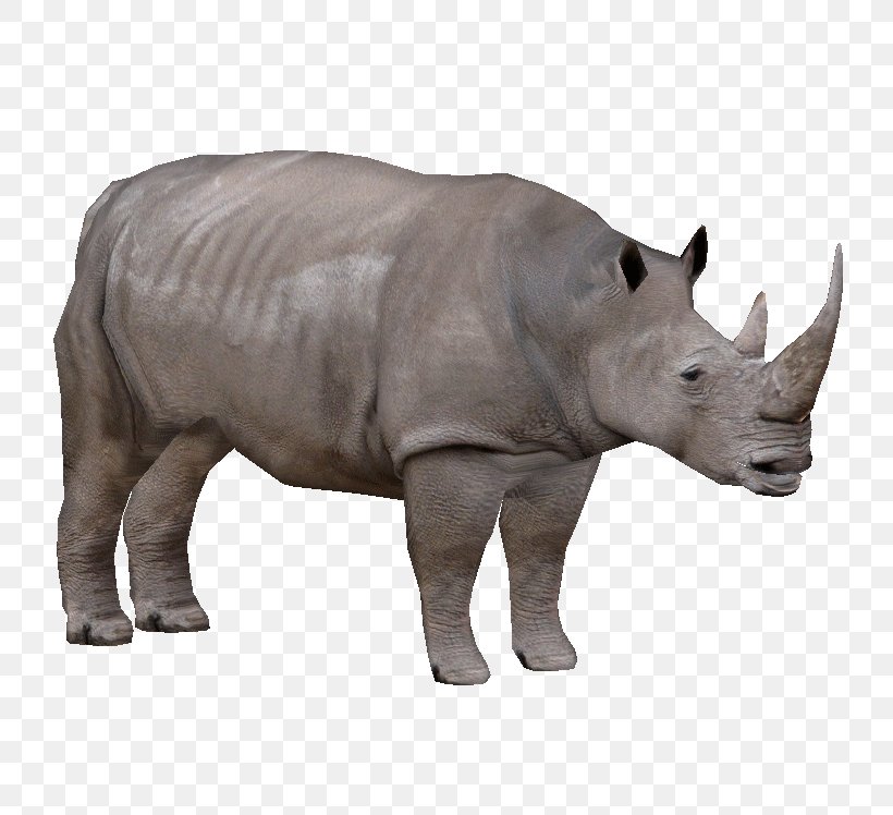 Western Black Rhinoceros Rhinoceros, PNG, 748x748px, Western Black Rhinoceros, Animal, Animal Figure, Black Rhinoceros, Ceratotherium Download Free