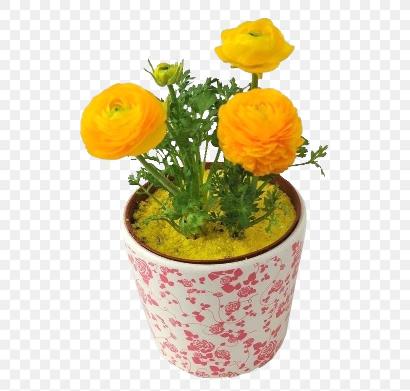 Yellow Moutan Peony, PNG, 580x783px, Yellow, Artificial Flower, Bonsai, Ceramic, Cut Flowers Download Free