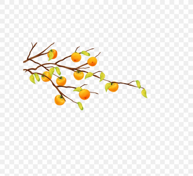 Cartoon Fruit Tree Tangerine, PNG, 1800x1648px, Cartoon, Art, Branch, Flat Design, Flower Download Free