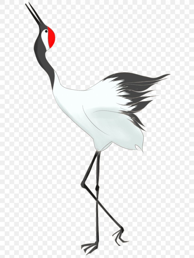 Crane Pelican Bird Beak White Stork, PNG, 900x1200px, Crane, Beak, Bird, Black And White, Common Ostrich Download Free