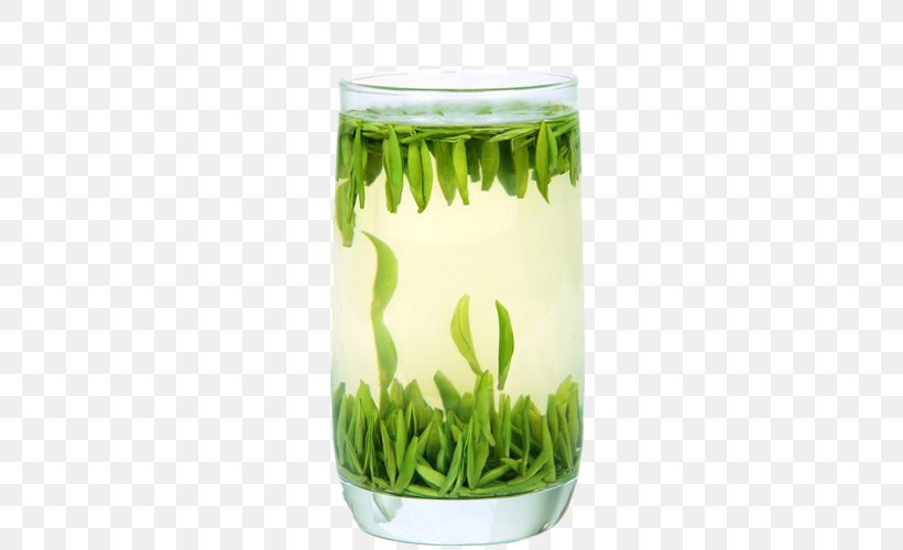 Green Tea Jintan District Meitan Cuiya Longjing Tea, PNG, 500x500px, Tea, Commodity, Flowerpot, Grass, Grass Family Download Free