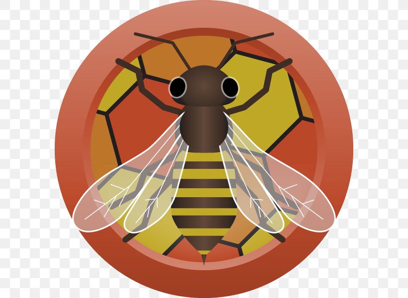 Honey Bee Mead Brown Ale Beer, PNG, 800x600px, Honey Bee, Ale, Arthropod, Bee, Beer Download Free