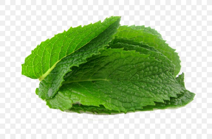 Peppermint Mentha Spicata Water Mint Herb Flavor, PNG, 720x540px, Peppermint, Beetroot, Flavor, Food, Herb Download Free