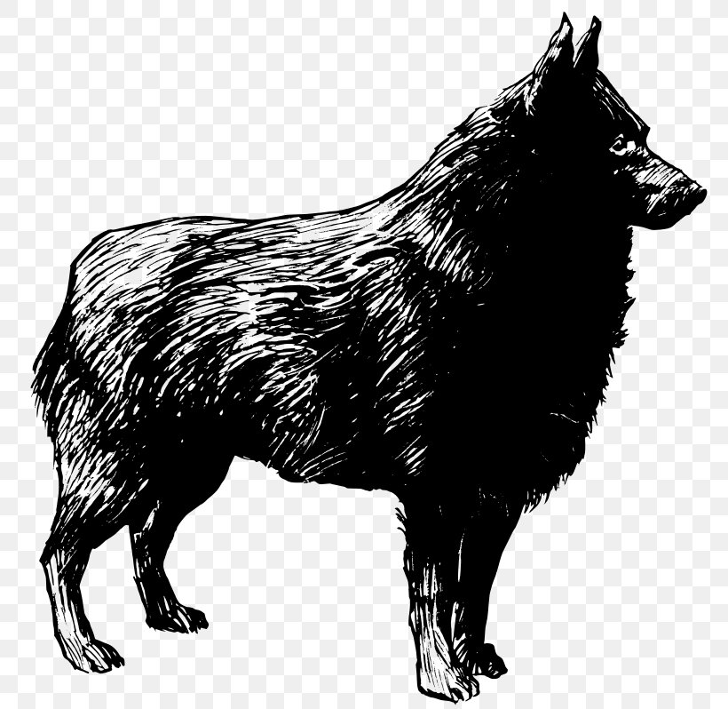 Schipperke Bloodhound Belgian Shepherd Malinois Dog, PNG, 800x798px, Schipperke, Animal, Belgian Shepherd, Black And White, Bloodhound Download Free