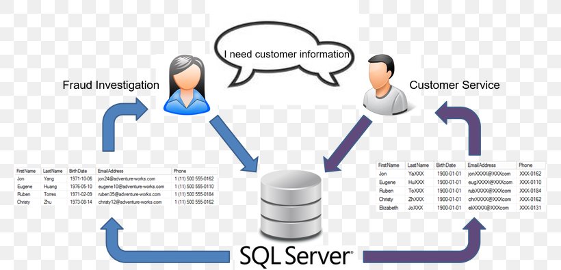 Data Masking Database Encryption Data Security, PNG, 776x395px, Data Masking, Area, Brand, Column, Communication Download Free