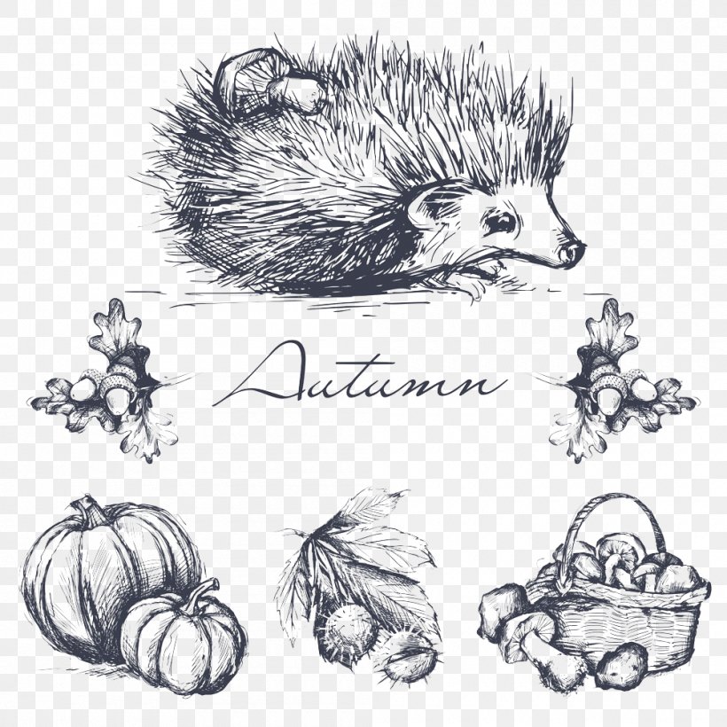 Hedgehog Sketch, PNG, 1000x1000px, Hedgehog, Artwork, Auglis, Black And White, Carnivoran Download Free