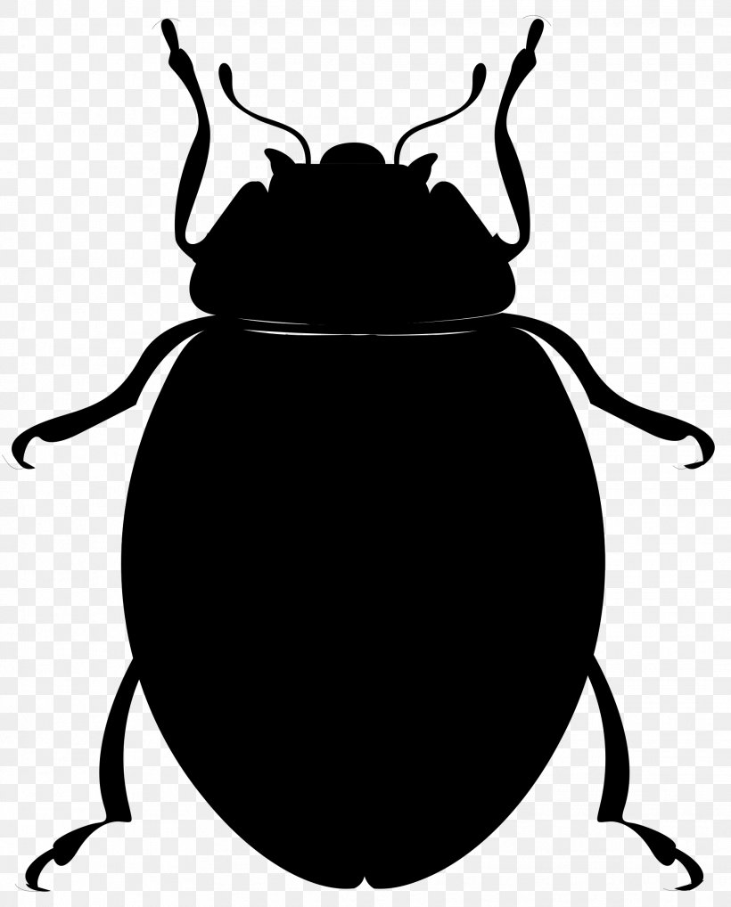 Ladybird Beetle Clip Art Vector Graphics Image, PNG, 1932x2400px, Beetle, Art, Blackandwhite, Darkling Beetles, Ground Beetle Download Free